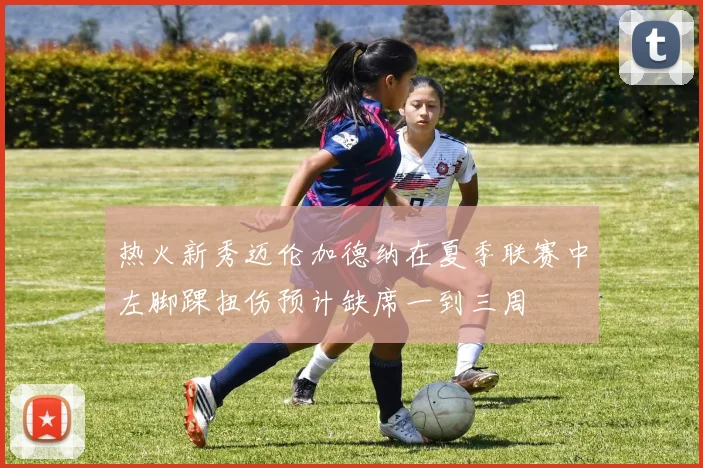 热火新秀迈伦加德纳在夏季联赛中左脚踝扭伤预计缺席一到三周